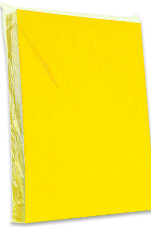 TAPA PLASTIFICADA A-4 AMARILLO