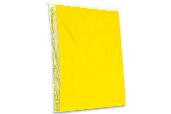 TAPA PLASTIFICADA A-4 AMARILLO
