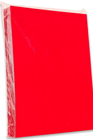 TAPA PLASTIFICADA A-4 ROJO