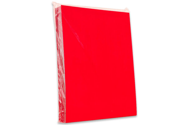 TAPA PLASTIFICADA A-4 ROJO