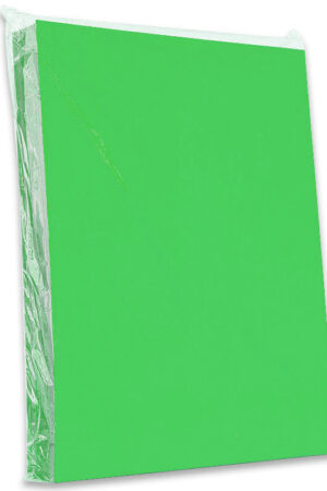 TAPA PLASTIFICADA A-4 VERDE HOJA
