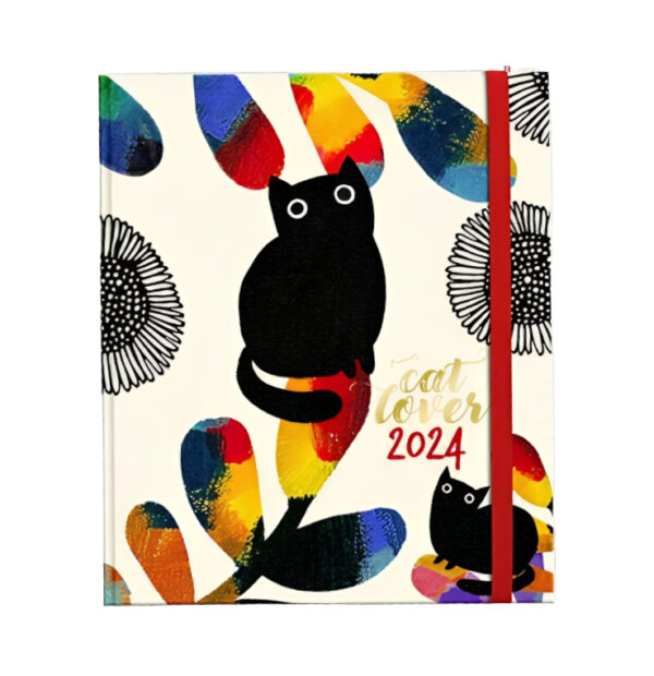 AGENDA DG CATS ESCRITORIO